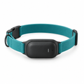 Black GPS pet tracker attached to a teal collar on a white background