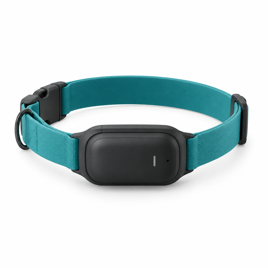 Black GPS pet tracker attached to a teal collar on a white background